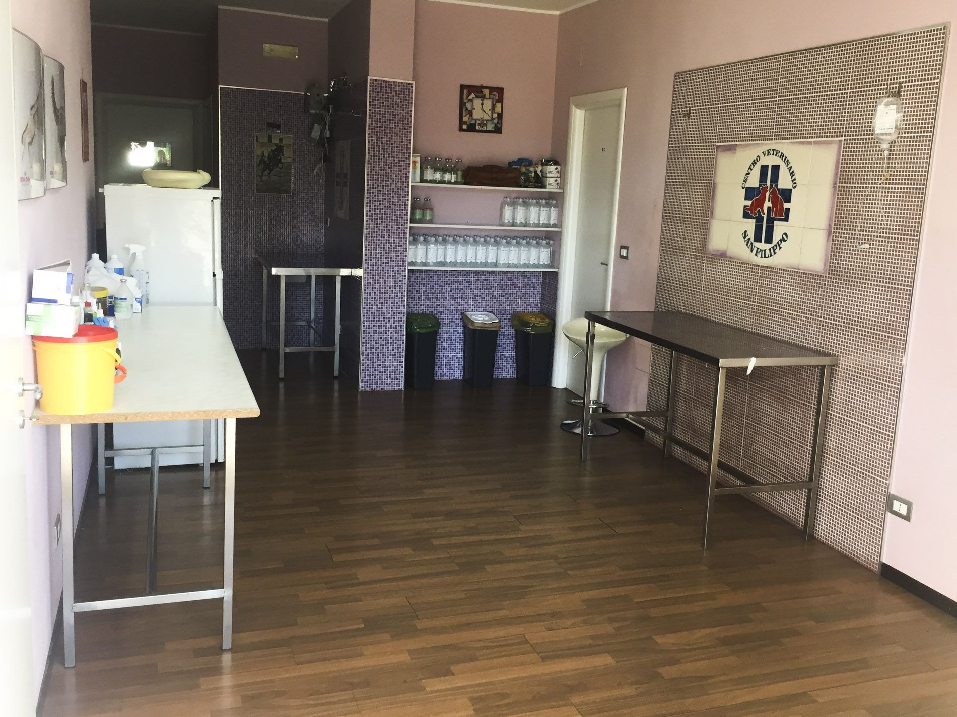 Ambulatorio del Centro Veterinario San Filippo - Agira (Enna)