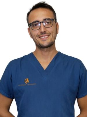 Dott. MARCO CURRENTI Medico Chirurgo Ortopedico presso il Centro Veterinario San Filippo - Agira (ENNA)