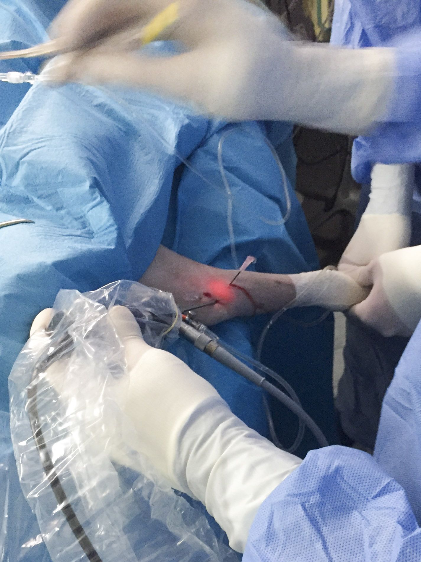 L'endoscopia eseguita dal Centro Veterinario San Filippo utilizza videocamere speciali per raggiungere alcune aree (organi cavi) all'interno del corpo in modo minimamente invasivo.