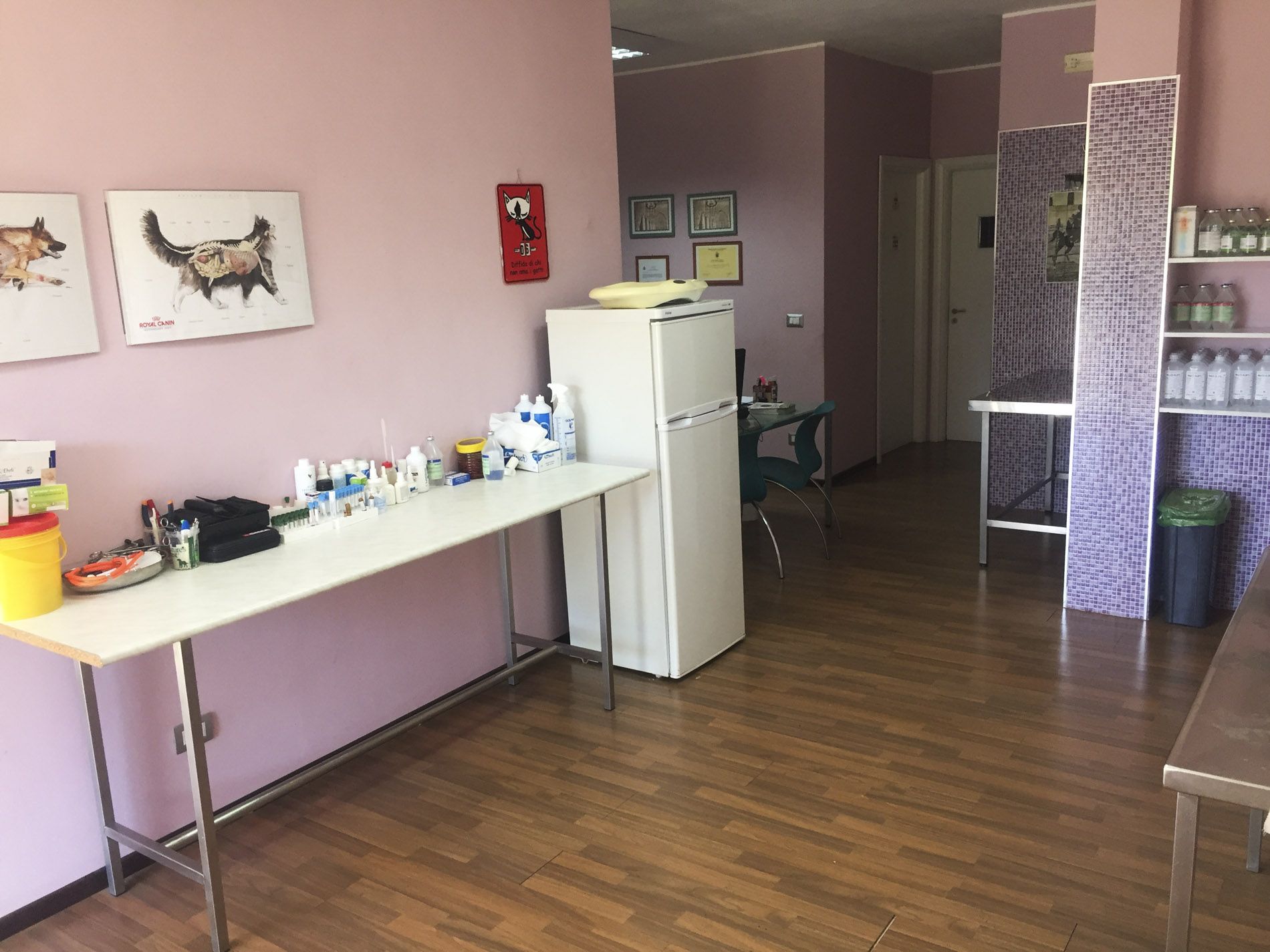 Ambulatorio del Centro Veterinario San Filippo - Agira (Enna)