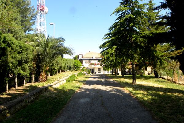 Giardino adiacente alla sala degenza del Centro Veterinario San Filippo - Agira (ENNA)